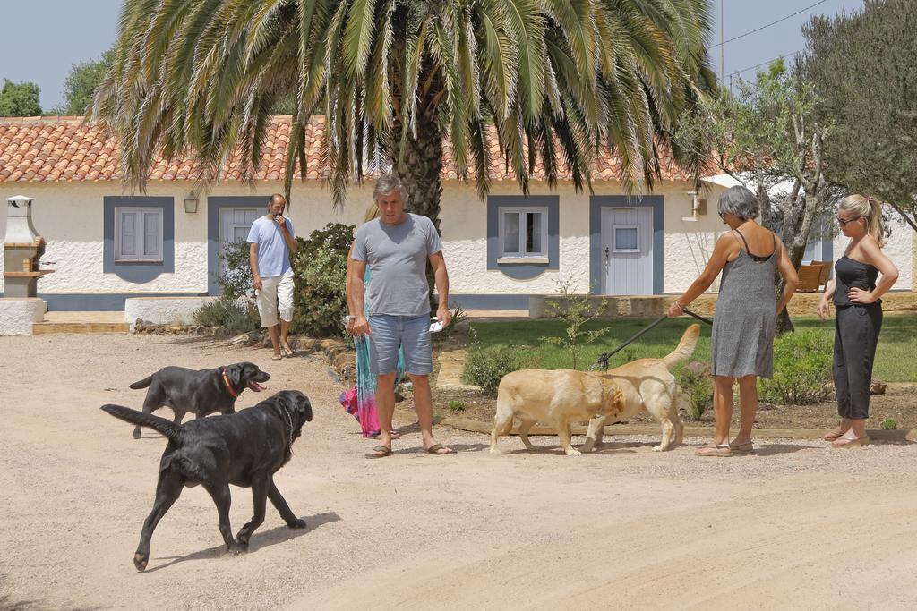 Cabra - Porto Covo Guest House Ngoại thất bức ảnh